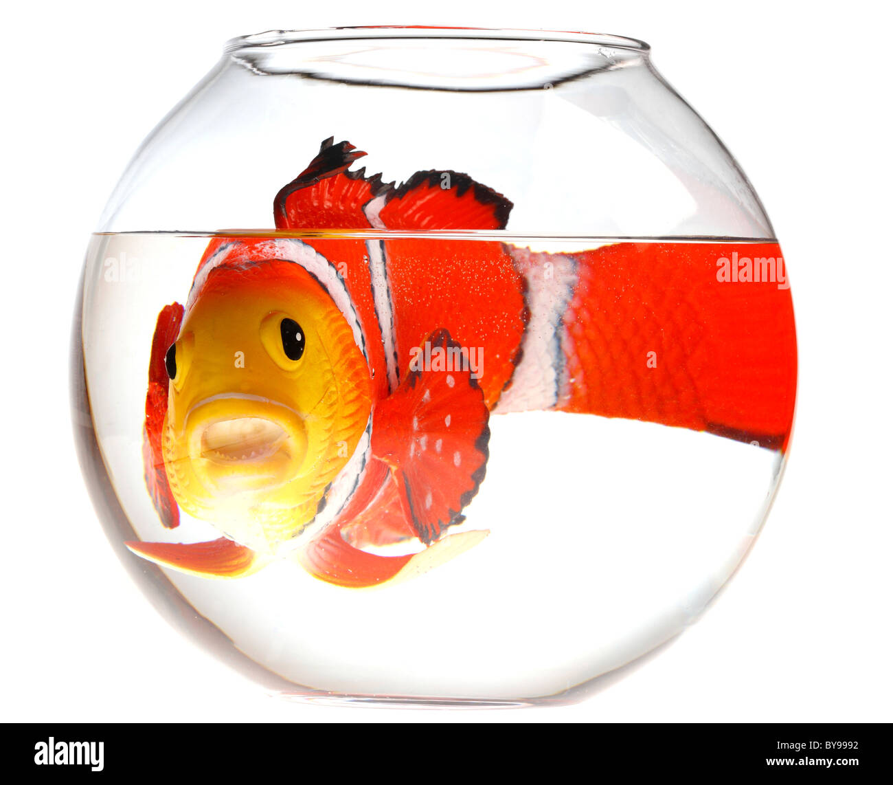 Fish in a fish bowl. Plastic toy. Stock Photo