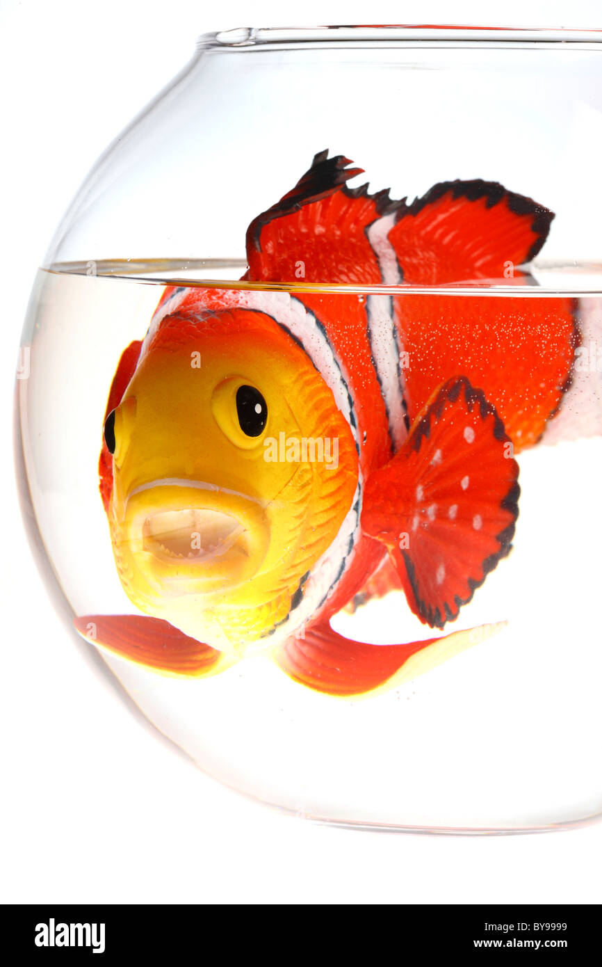 Fish in a fish bowl. Plastic toy Stock Photo - Alamy