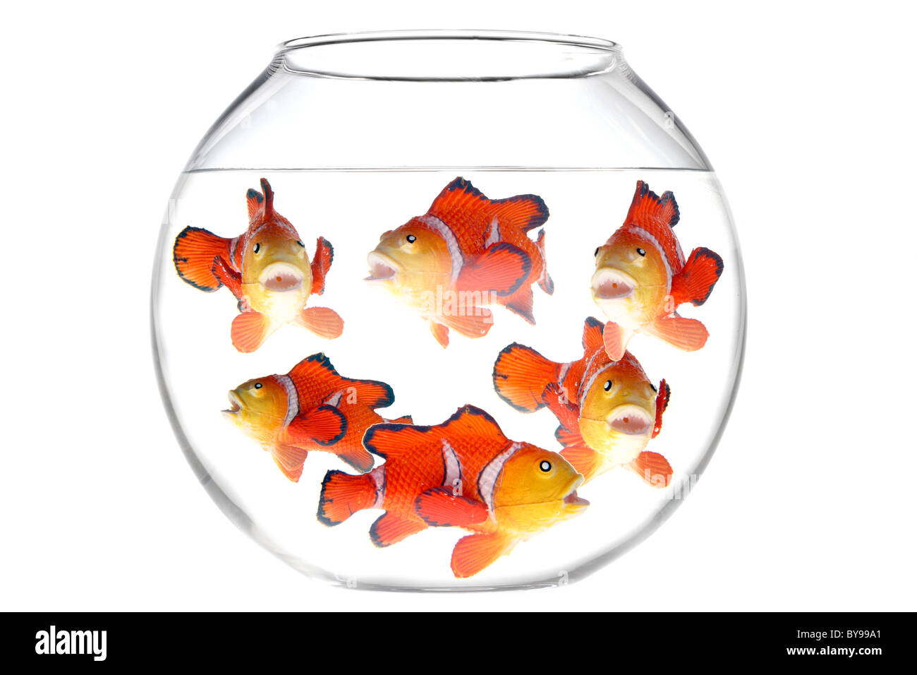 Fish in a fish bowl. Plastic toy Stock Photo - Alamy