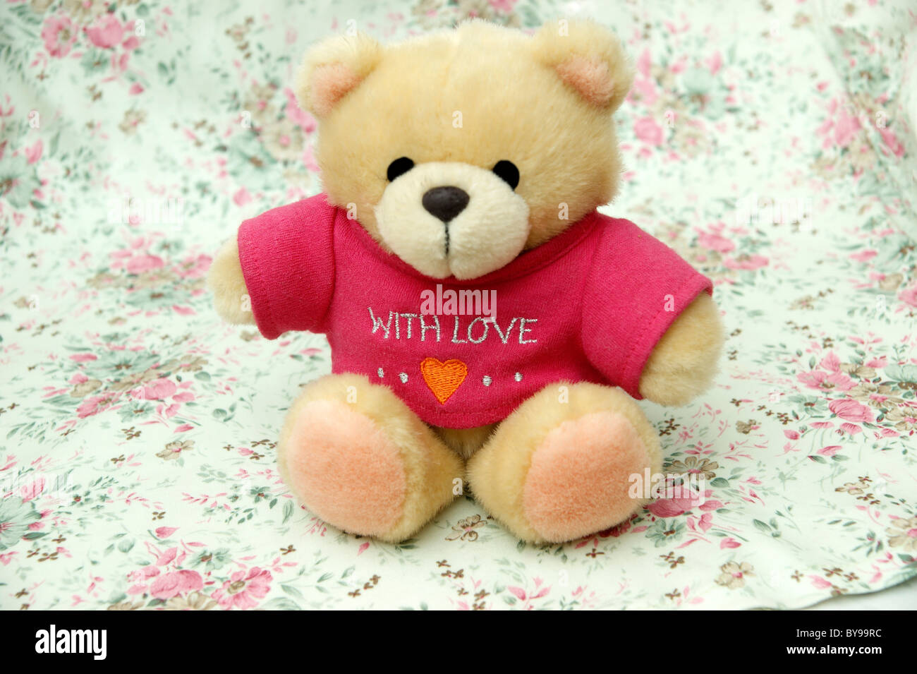 cute cuddly toy teddy bear with a message saying ''With love'' Stock Photo
