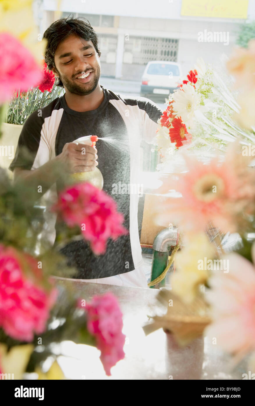 Florist spraying water on flowers Stock Photo Alamy