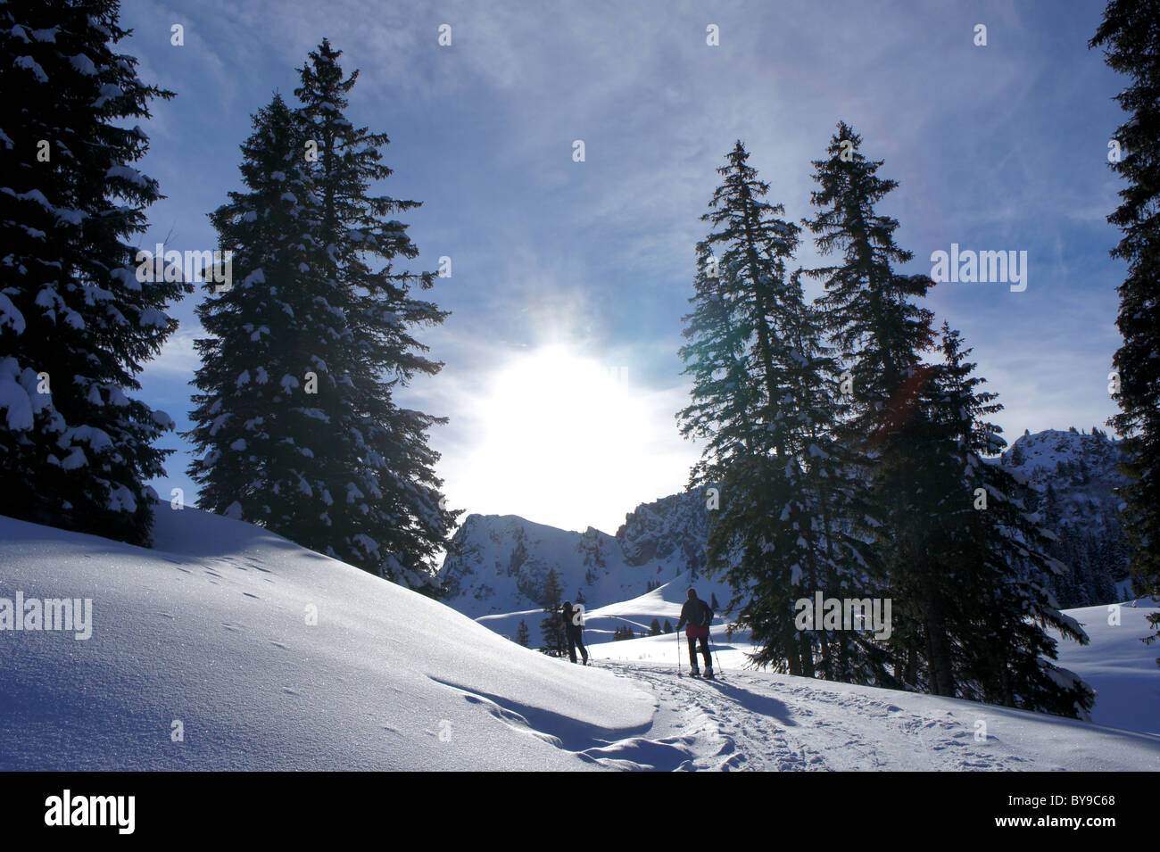 Skiers walking snowy mountain trail Bernese alps, Switzerland Stock Photo
