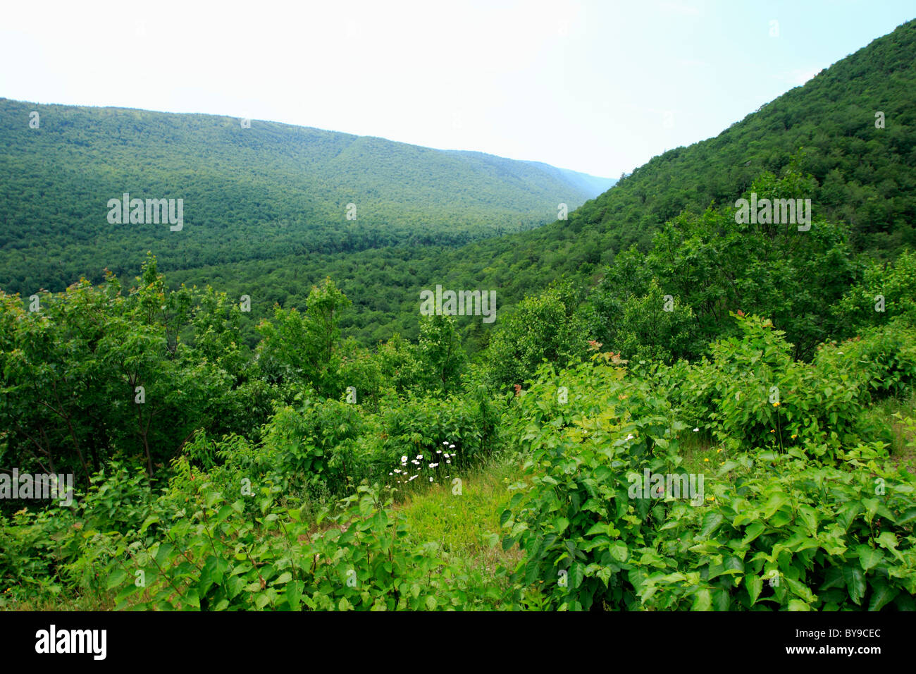 The Aspy Mountain highlands of Cape Breton in Cape Breton Highlands national Park Nova Scotia