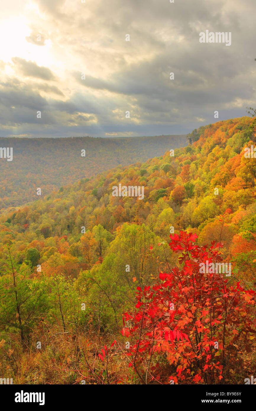 View from Laurel Gulf Overlook, Stone Door Trail, Savage Gulf State