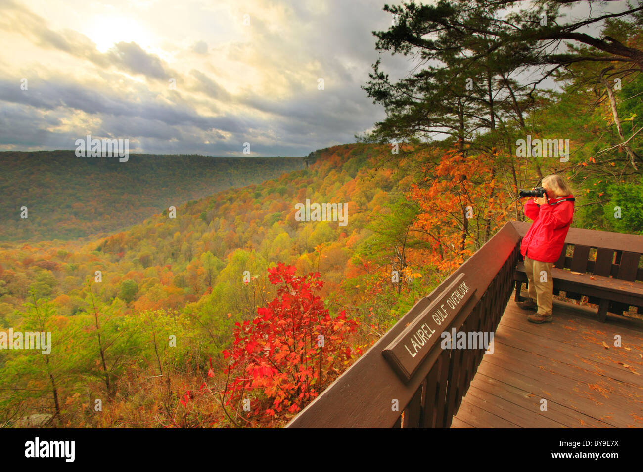 Hiker at Laurel Gulf Overlook, Stone Door Trail, Savage Gulf State Natural Area, Beersheba Springs, Tennessee, USA Stock Photo