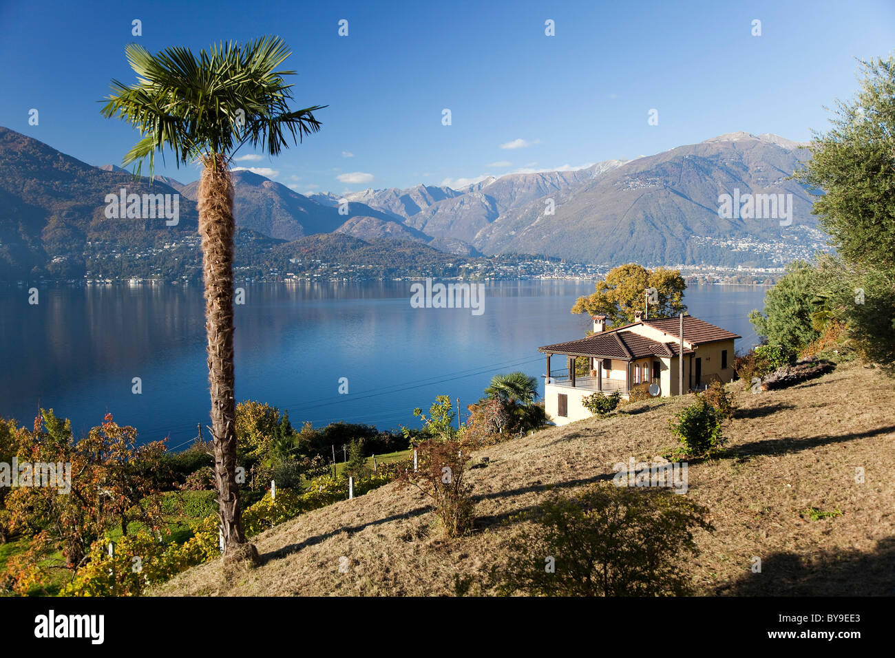 Idyllically situated holiday house on Lake Maggiore, Ranzo, Sant Abbondio, canton of Ticino, Switzerland, Europe Stock Photo