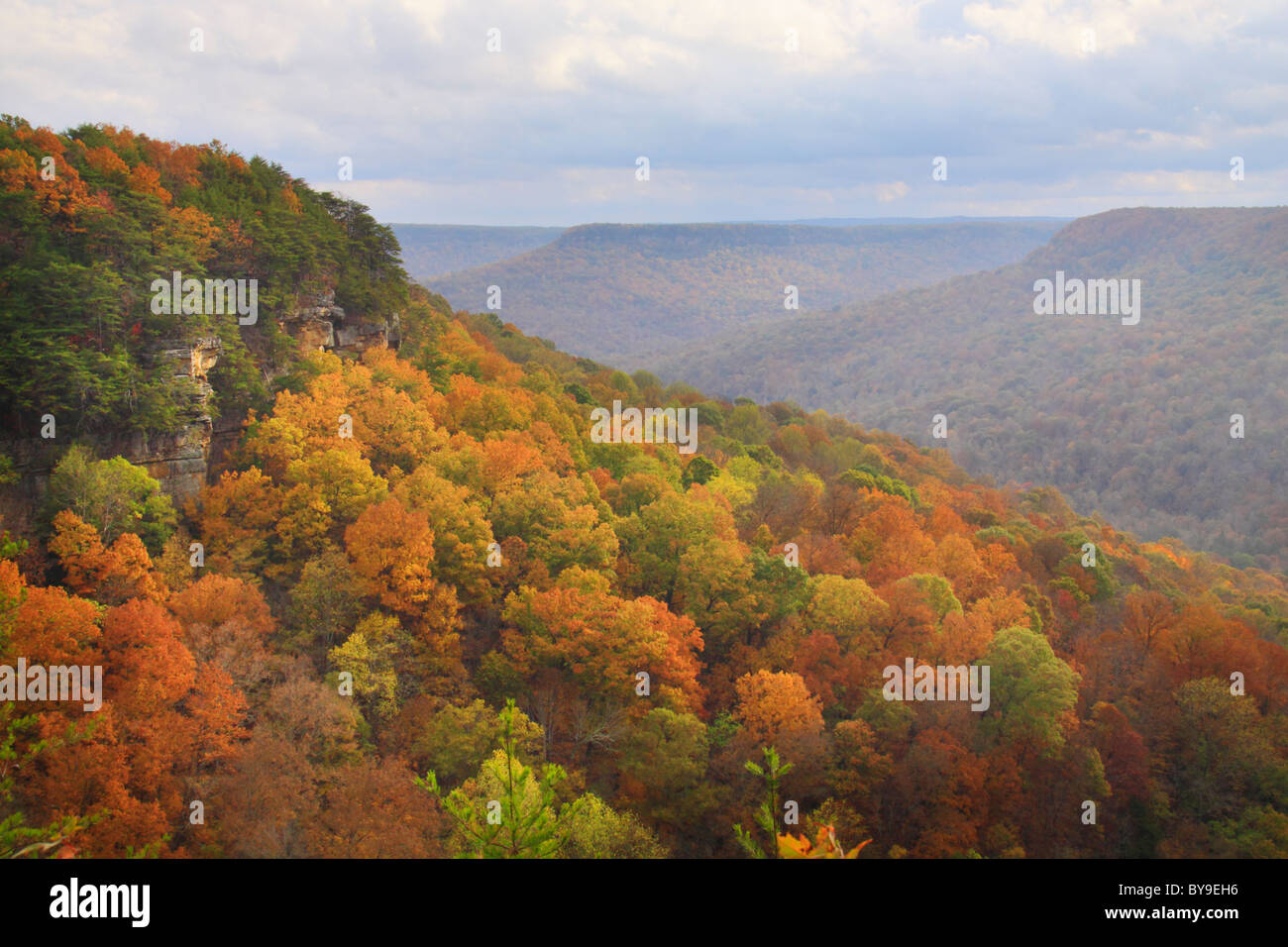 View from Laurel Gulf Overlook, Stone Door Trail, Savage Gulf State