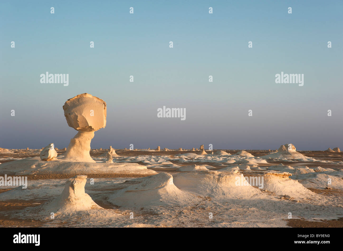 Limestone formations in the evening light, White Desert National Park, Libyan Desert, Sahara, Egypt, North Africa Stock Photo