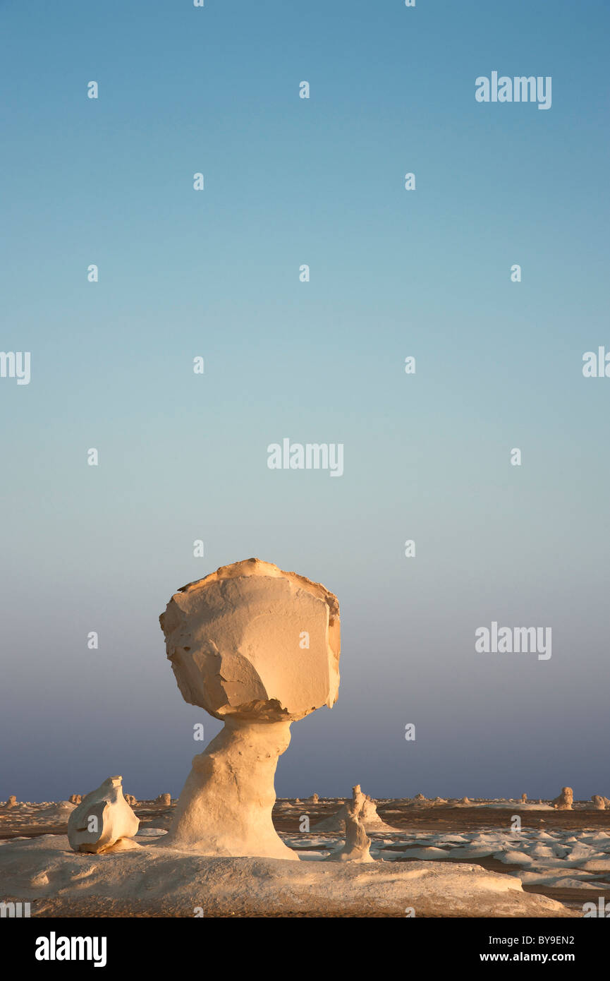 Limestone formations in the evening light, White Desert National Park, Libyan Desert, Sahara, Egypt, North Africa Stock Photo