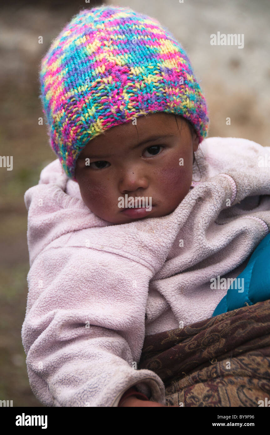 sherpa baby