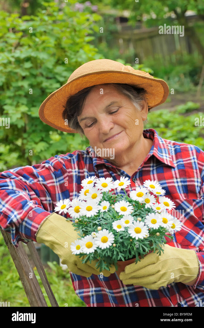 Senior woman gardening - holding Daisy Stock Photo