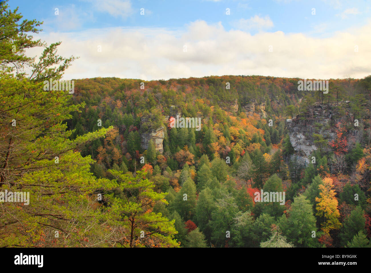 Cane Creek Canyon, Fall Creek Falls State Resort Park, Pikeville, Tennessee, USA Stock Photo