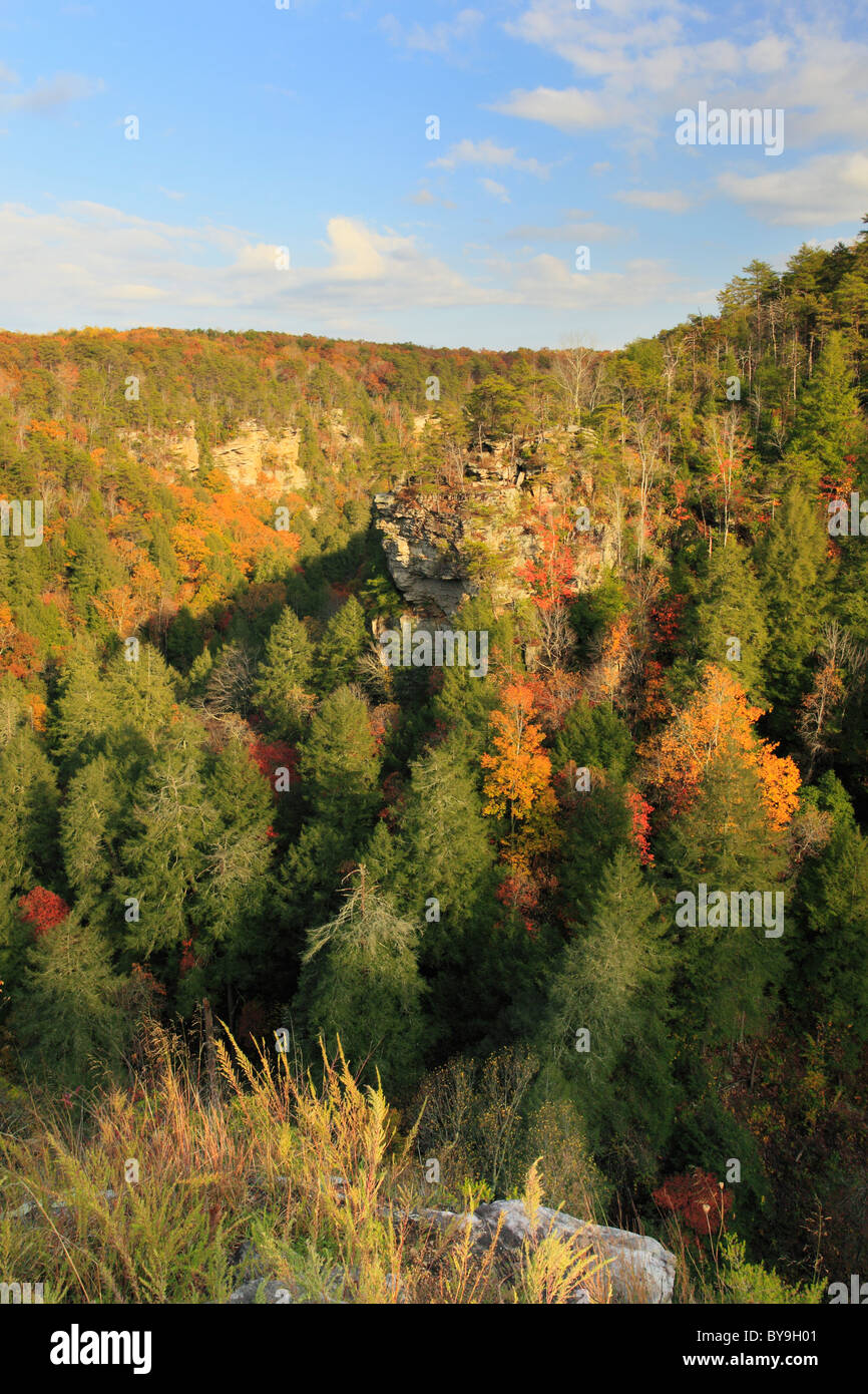 Cane Creek Canyon, Fall Creek Falls State Resort Park, Pikeville, Tennessee, USA Stock Photo