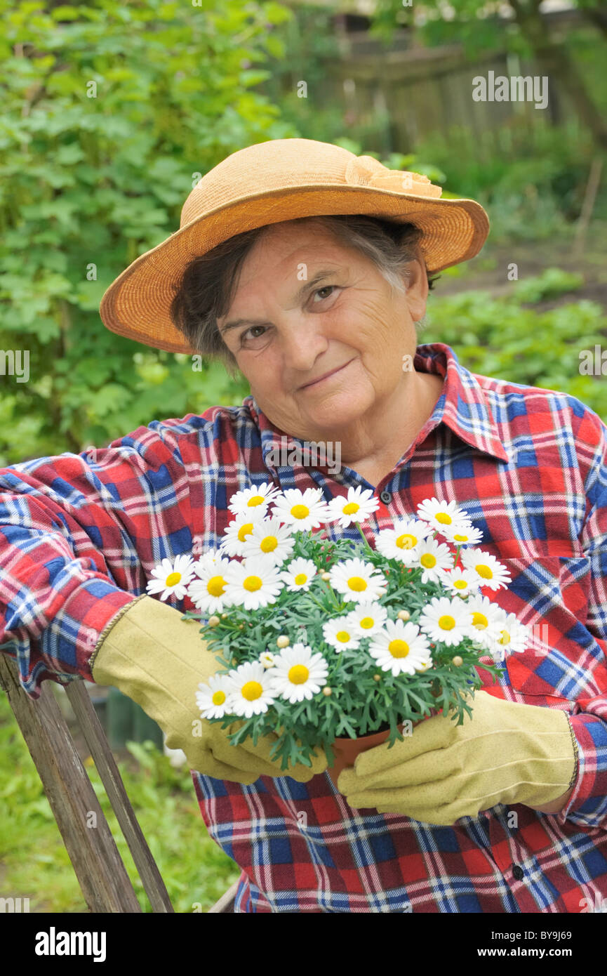 Senior woman gardening - potting flowers - Daisy Stock Photo