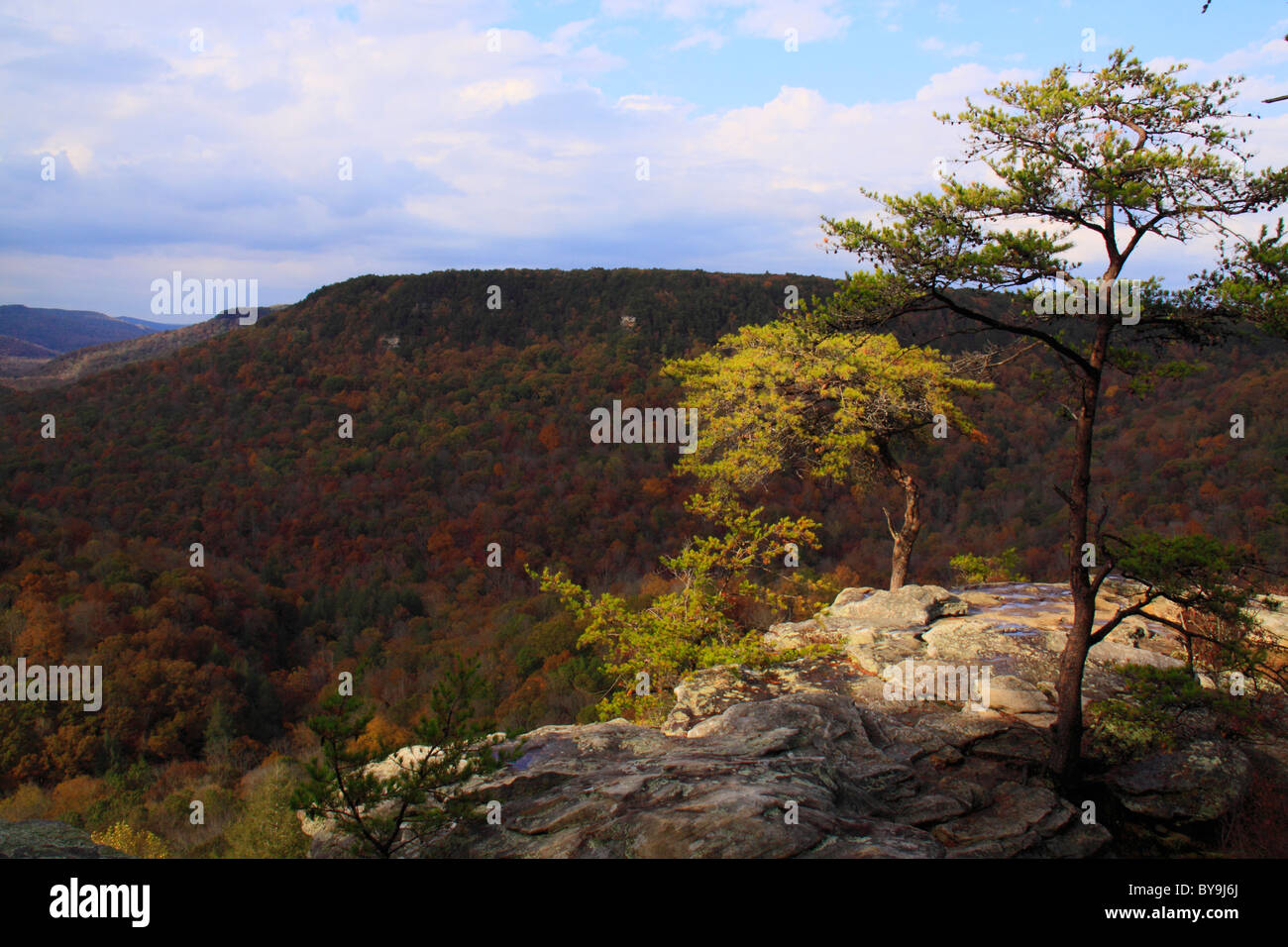 Buzzards Roost, Scenic Drive, Fall Creek Falls State Resort Park