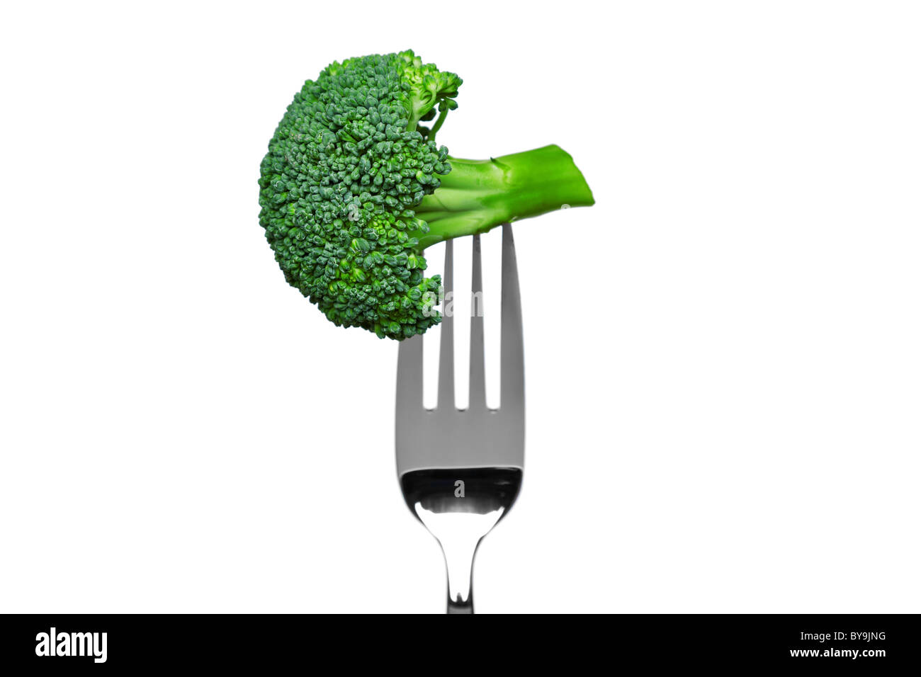 Photo of broccoli on a fork isolated on a white background, part of a series. Stock Photo