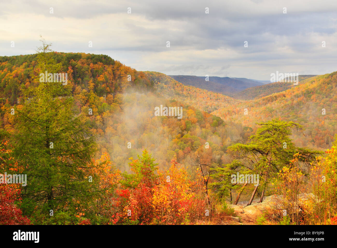 Milliken's Overlook, Gorge Scenic Drive, Fall Creek Falls State Resort Park, Pikeville, Tennessee, USA Stock Photo