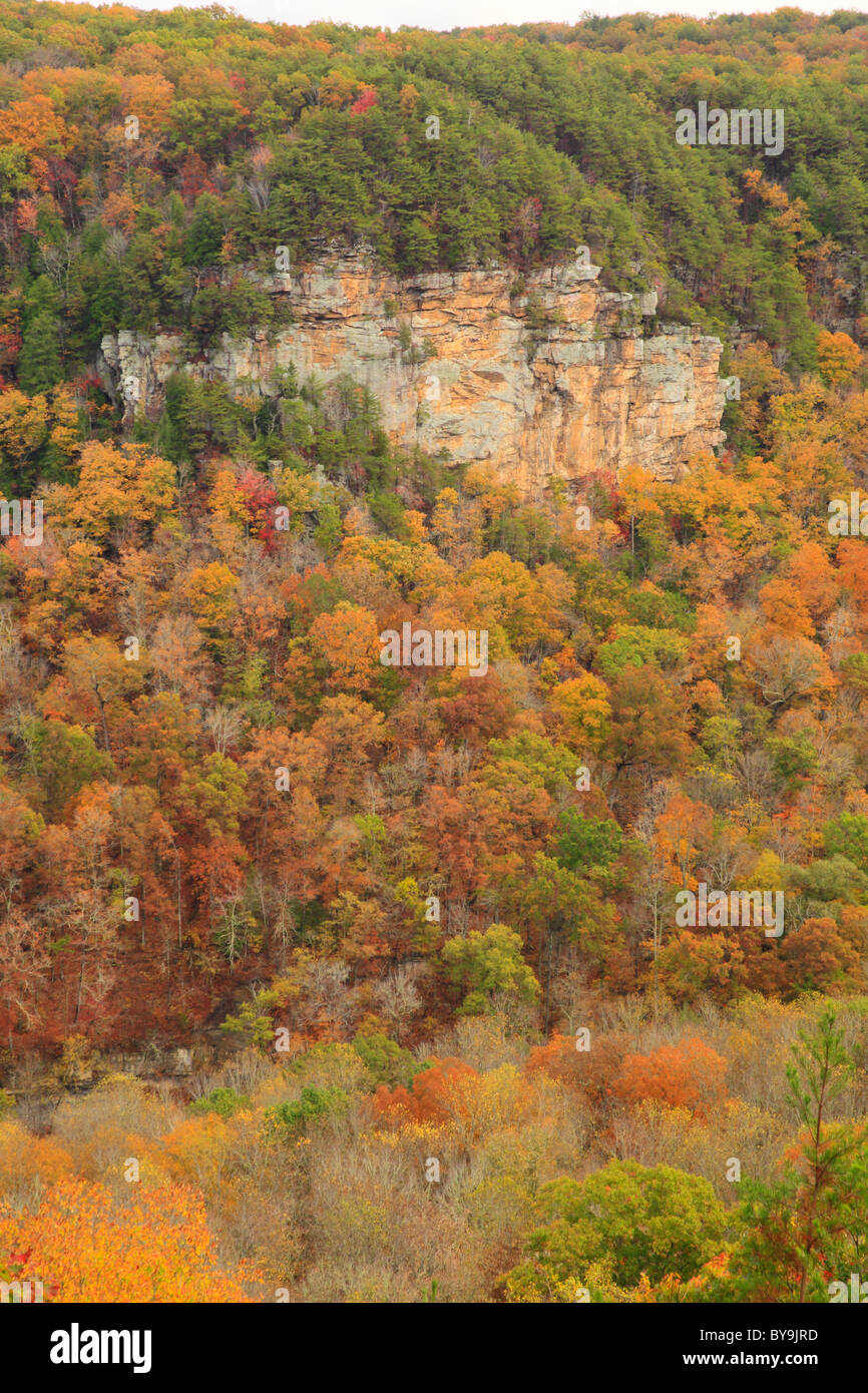 Scenic Drive, Fall Creek Falls State Resort Park, Pikeville