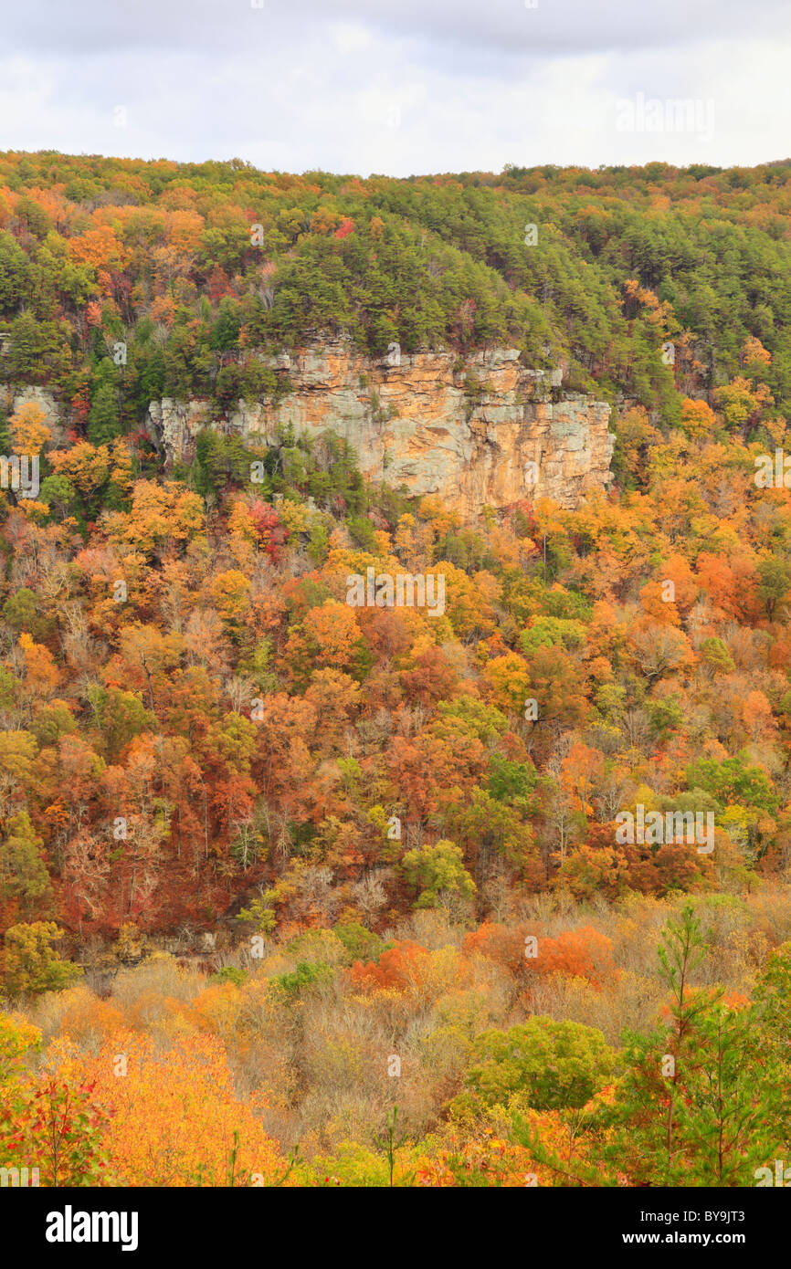 Gorge Scenic Drive, Fall Creek Falls State Resort Park, Pikeville, Tennessee, USA Stock Photo
