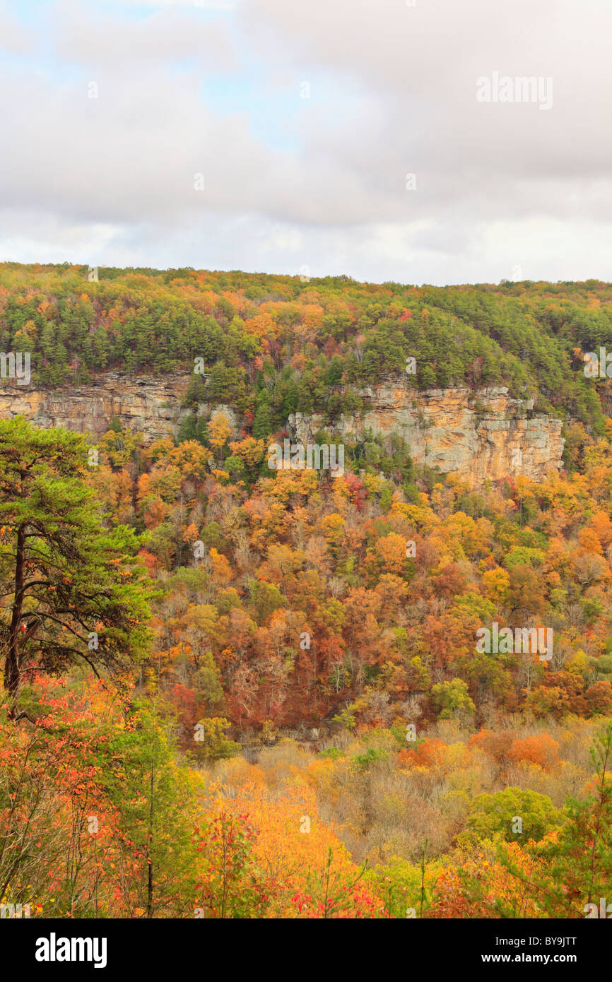 Gorge Scenic Drive, Fall Creek Falls State Resort Park, Pikeville, Tennessee, USA Stock Photo