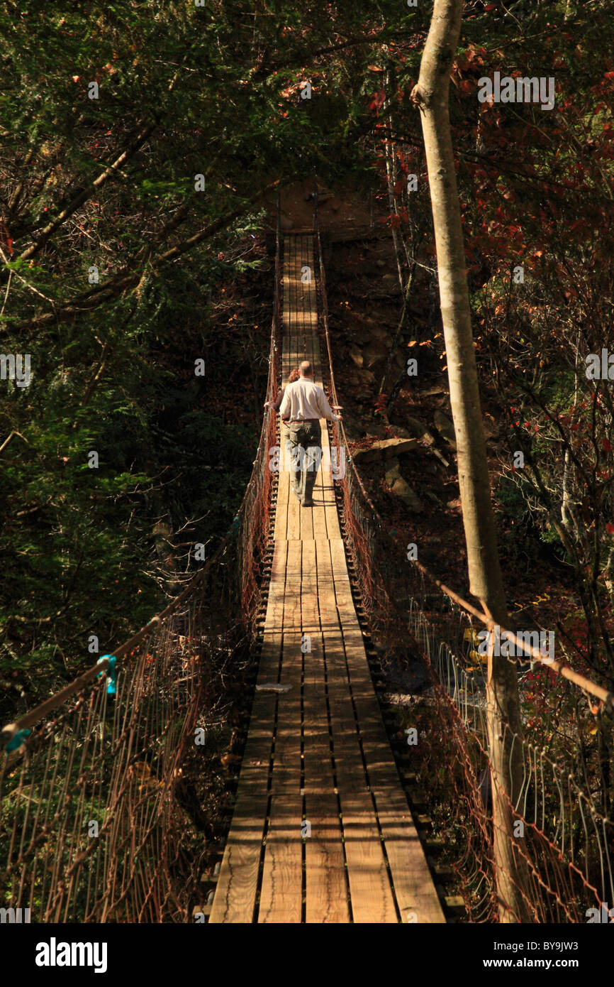 Hiker On Cane Creek Swinging Bridge Woodland Trail Fall