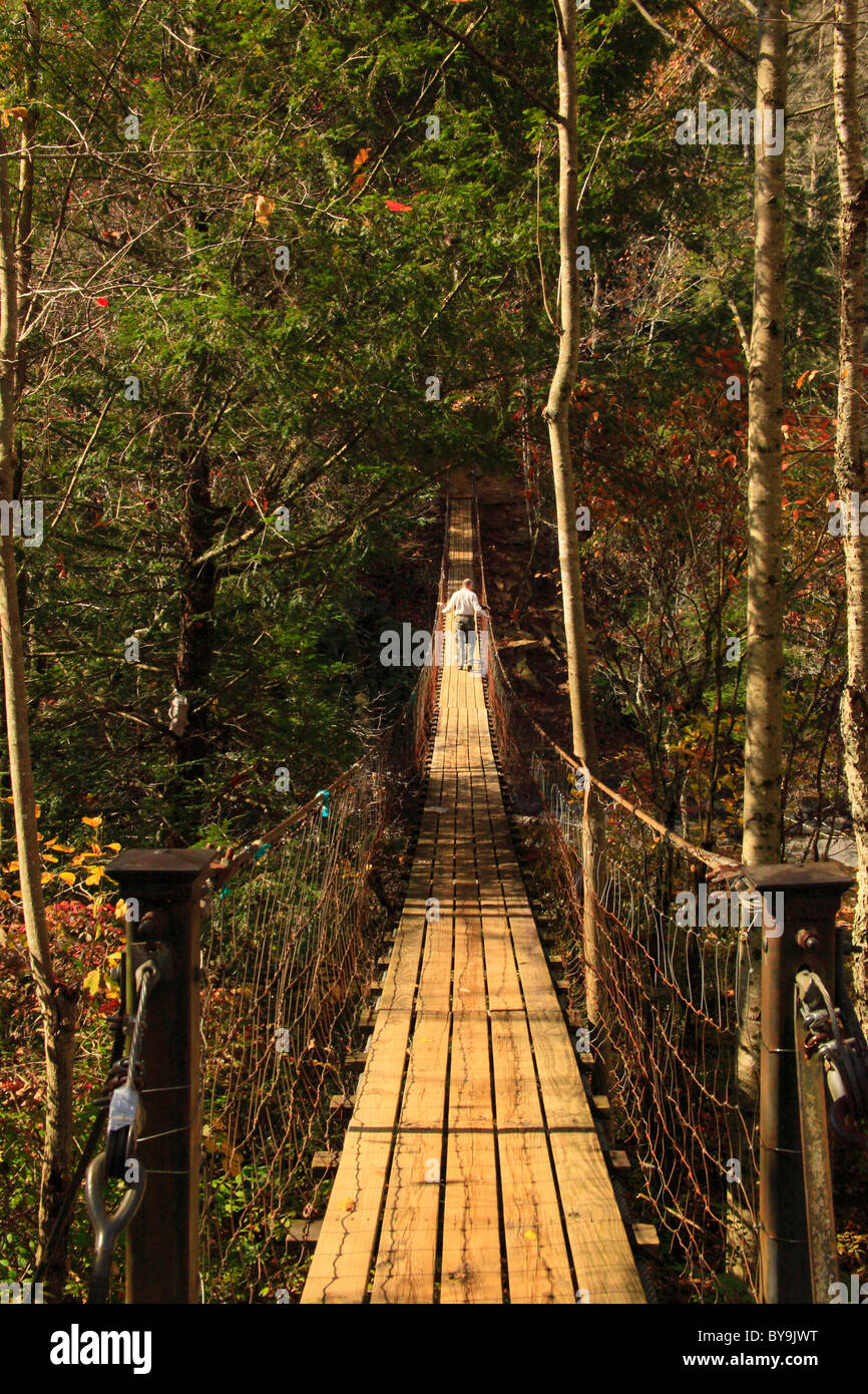 Hiker On Cane Creek Swinging Bridge Woodland Trail Fall
