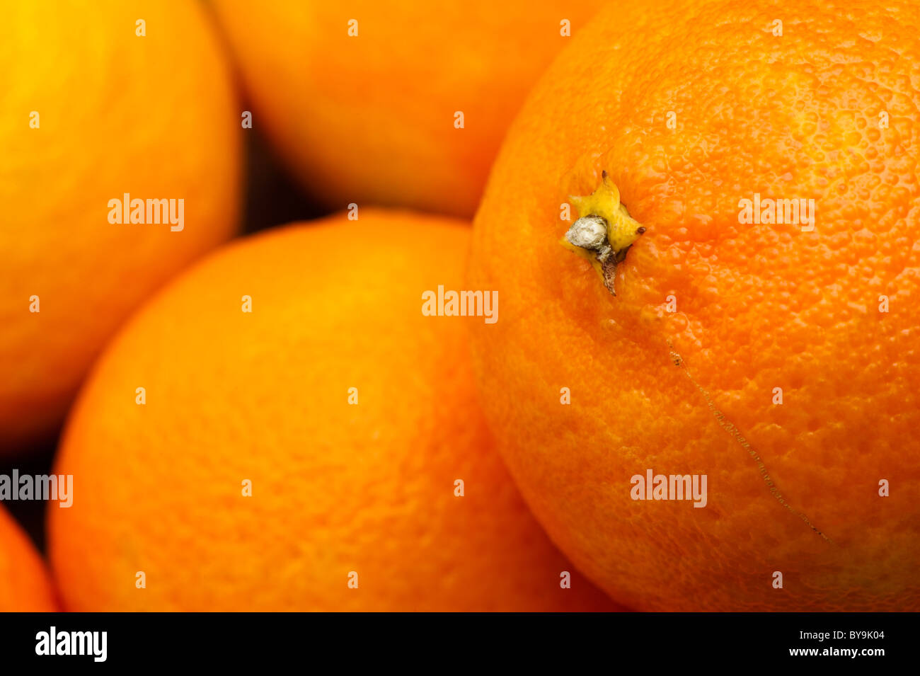 Close up of Clementines, Citrus reticulata Stock Photo