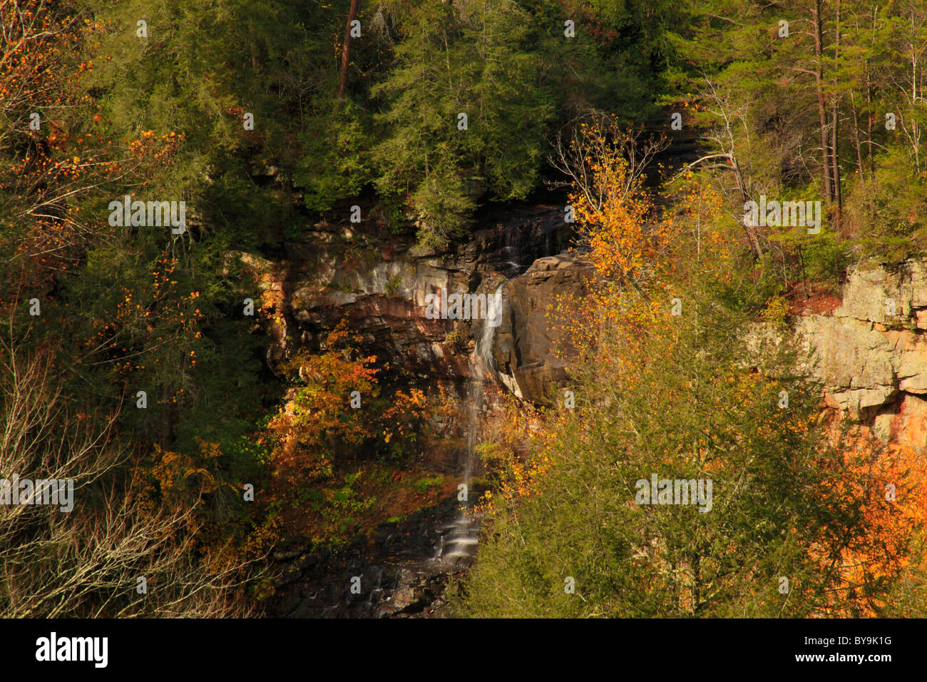 Piney Creek Falls, Fall Creek Falls State Resort Park, Pikeville