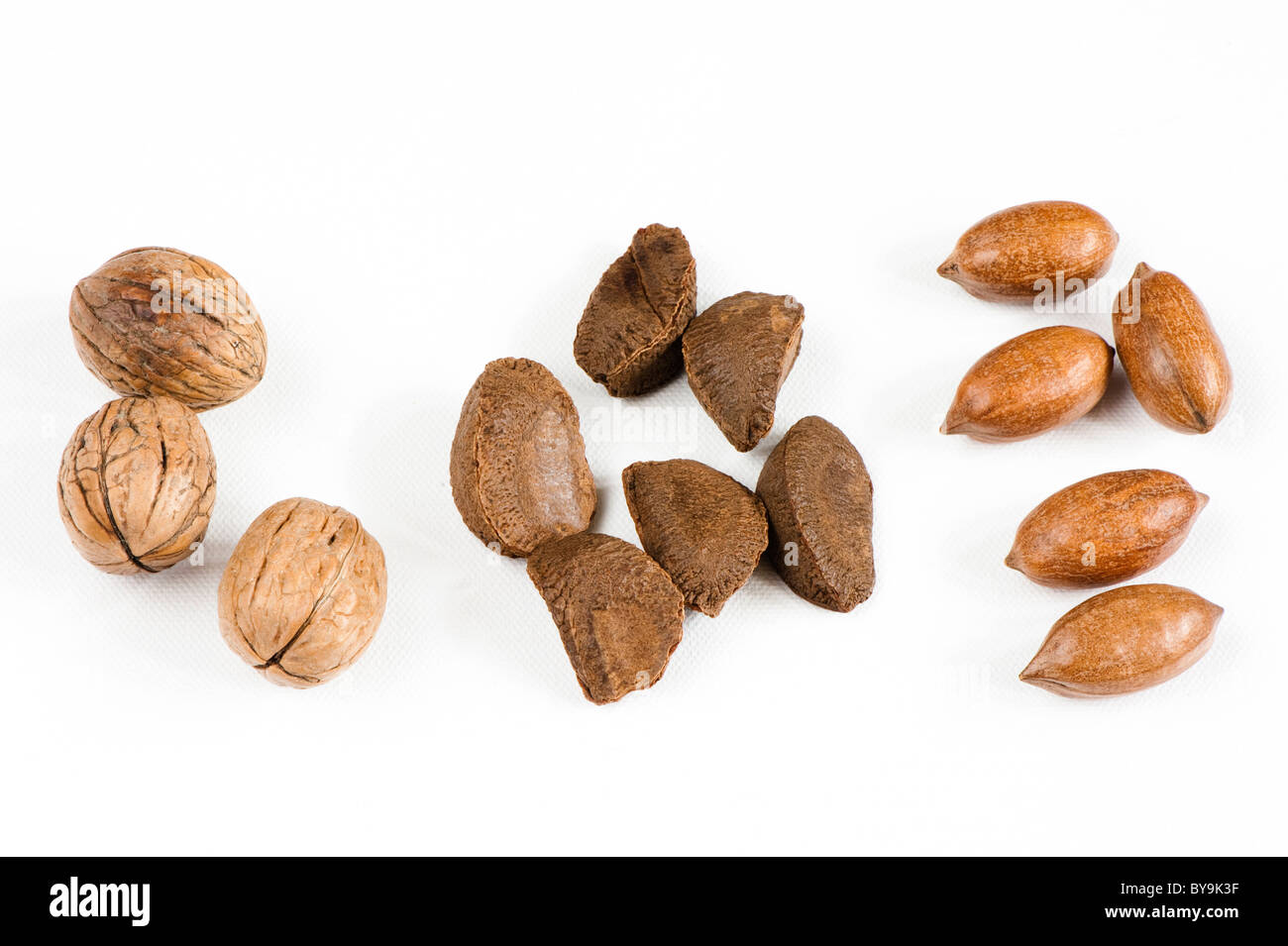 Three walnuts, six brazil nuts and five pecan nuts against a white background Stock Photo