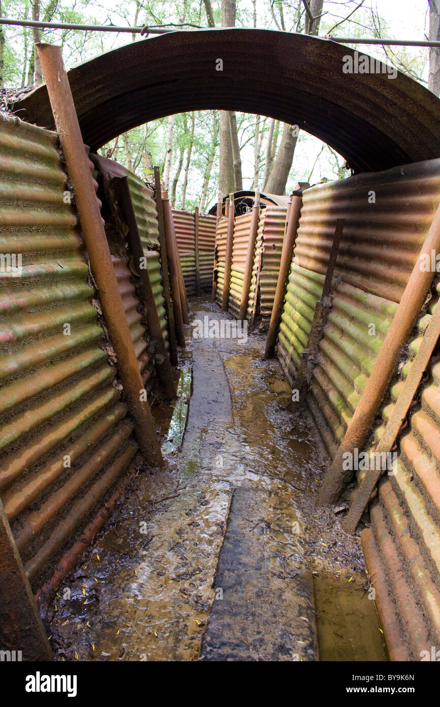 Corrugated iron trenches from the First World War at Sanctuary Wood Hill 62 near Ypres Stock Photo