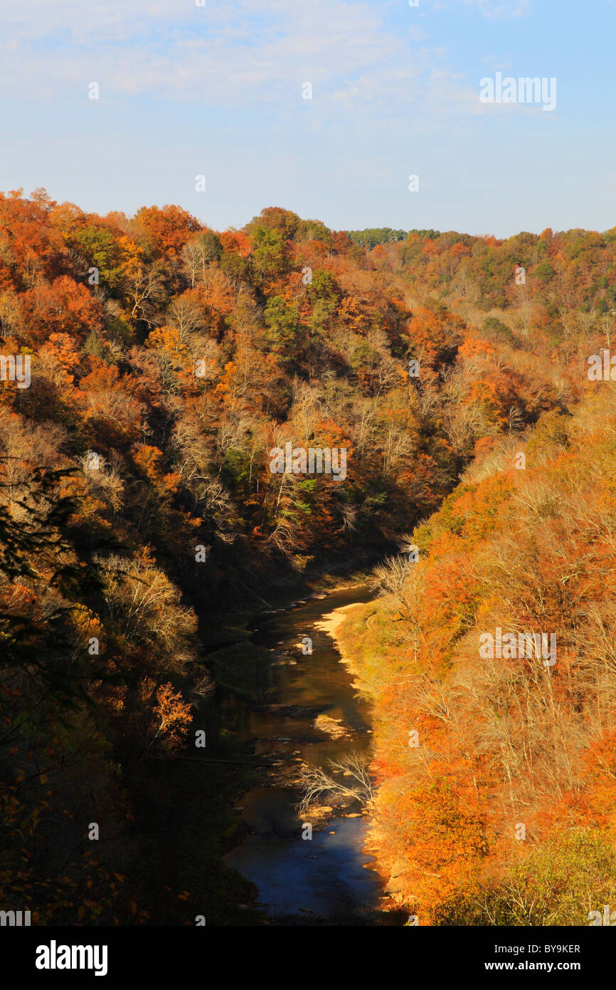 Ridge Trail, Falling Water River, Burgess Falls State Park, Sparta ...