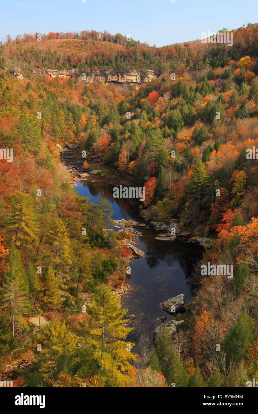 Obed Wild and Scenic River, Lilly Bluffs Overlook, Wartburg, Tennessee, USA Stock Photo