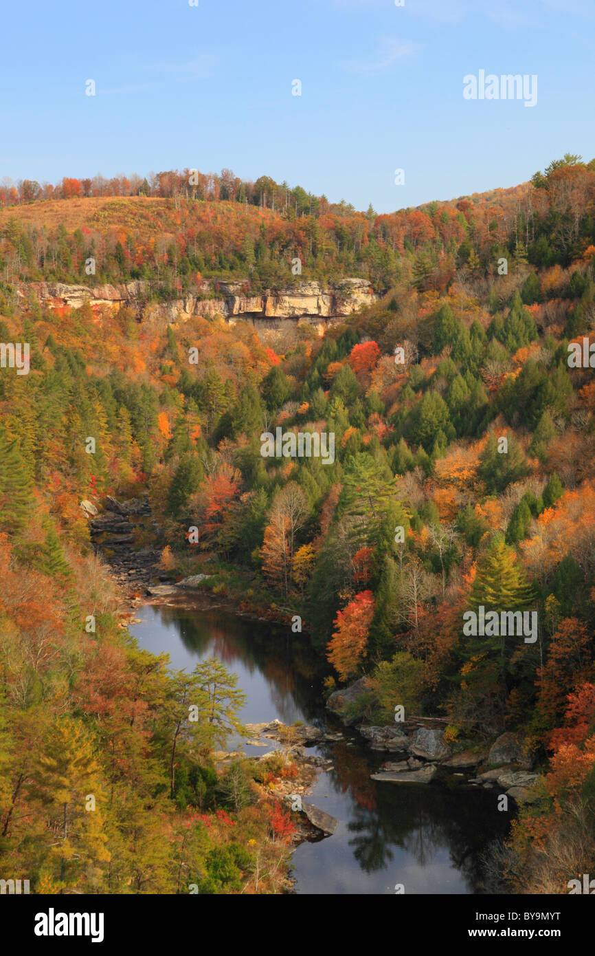 Obed Wild and Scenic River, Lilly Bluffs Overlook, Wartburg, Tennessee, USA Stock Photo Alamy