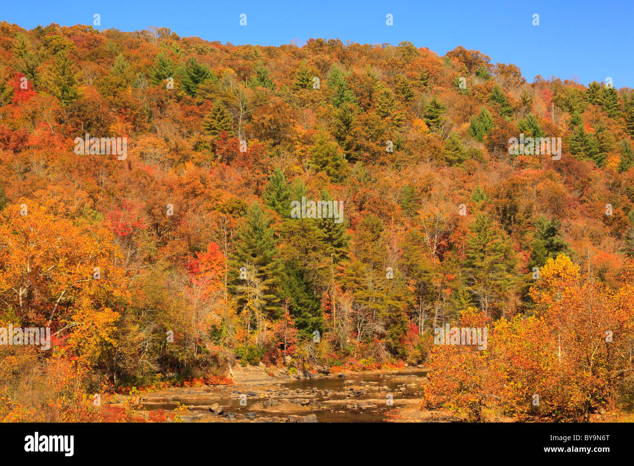 Obed Wild and Scenic River, Nemo Bridge area, Wartburg, Tennessee, USA