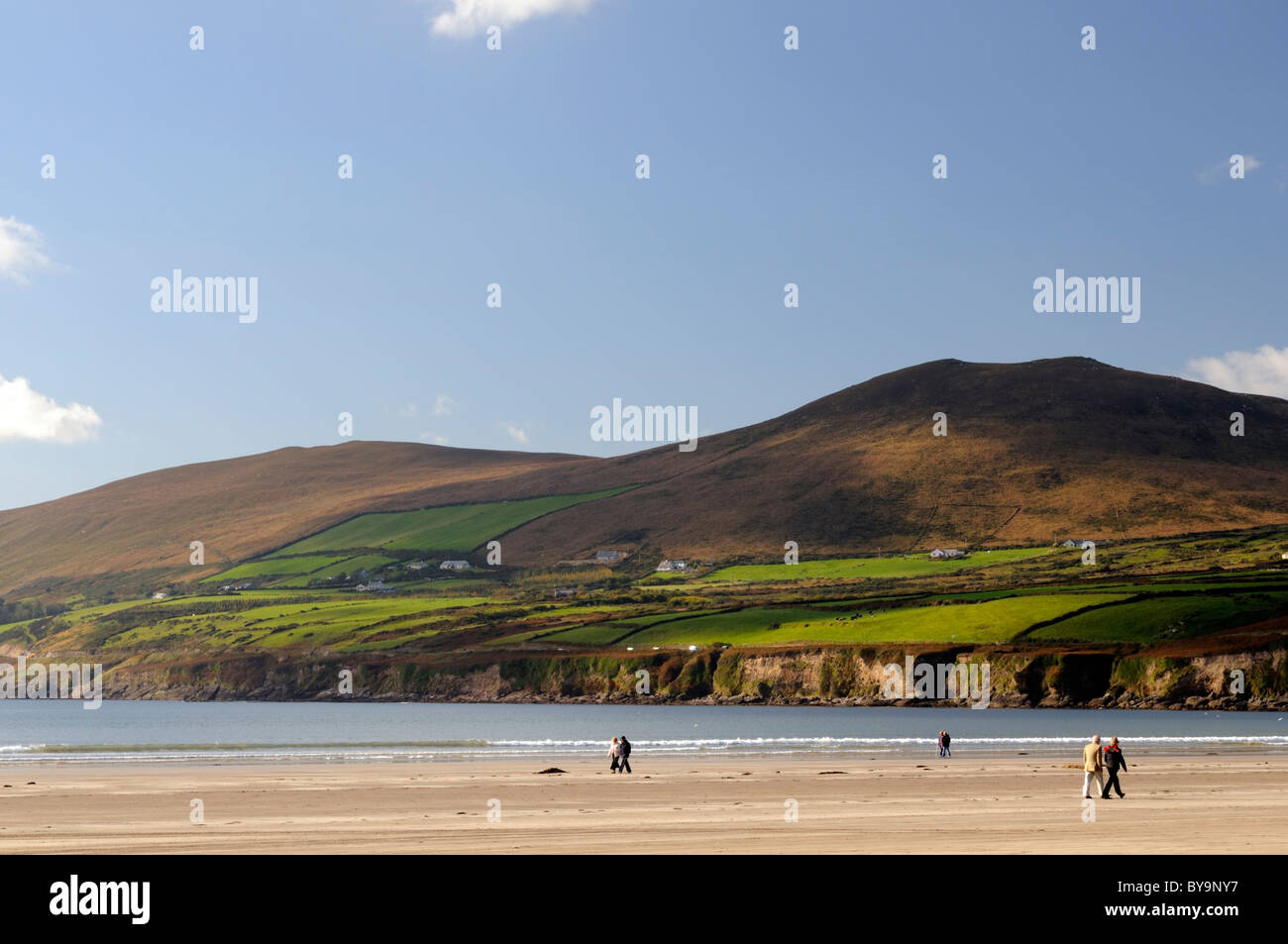 view towards cliffs called red cliff from Inch Beach blue skies Dingle Peninsula County Kerry
