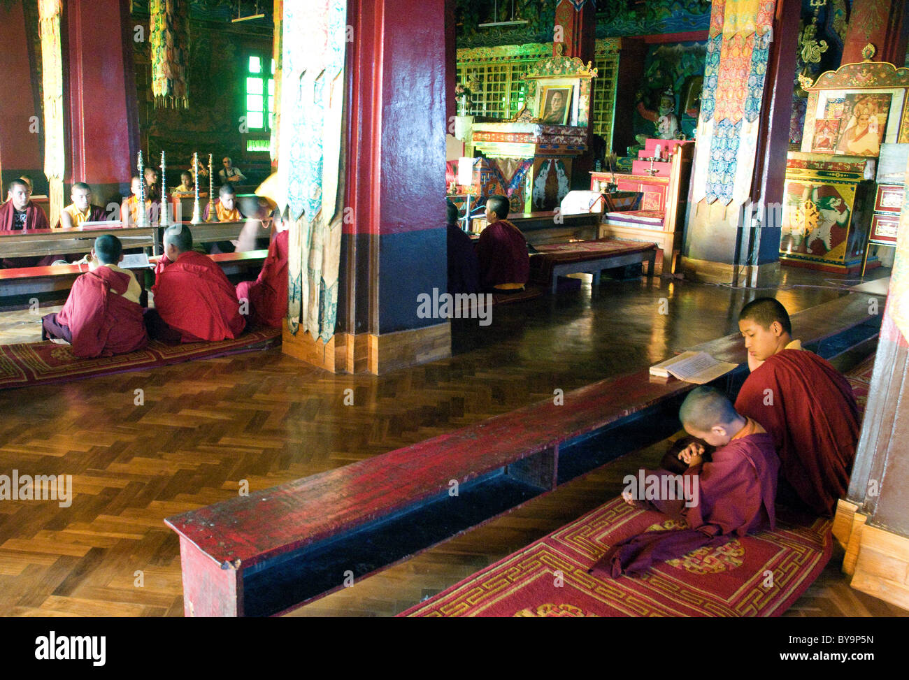 Buddhist monks and novices participate in a prayer service in the Fo-Brang monastery in Kalimpong, West Bengal, India Stock Photo