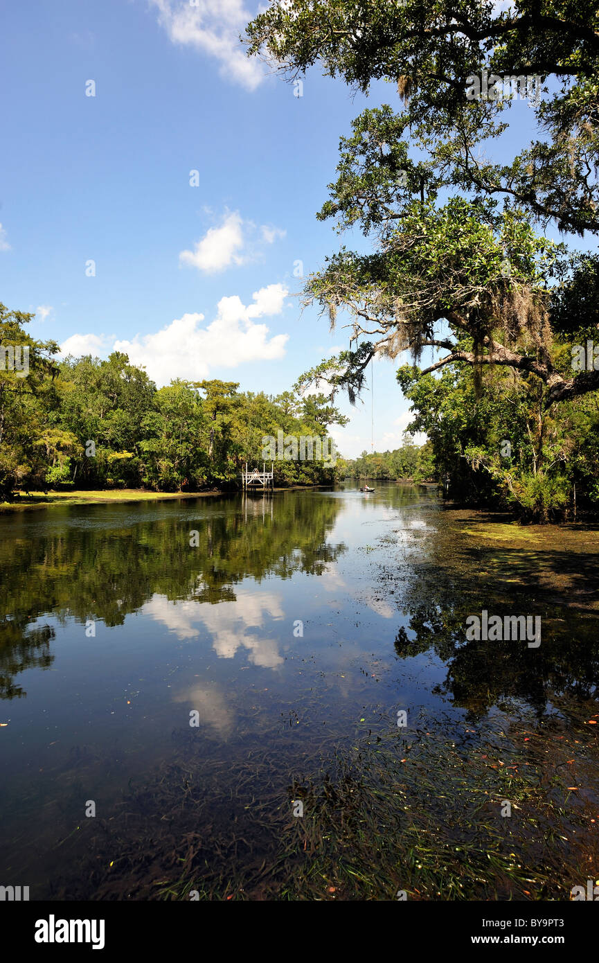The Saint Marks River in the Big Bend region of Florida, US Stock Photo
