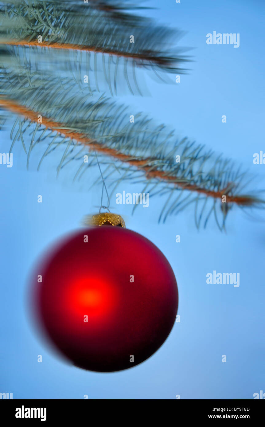 glass christmas ornament hanging from pine tree branch Stock Photo - Alamy