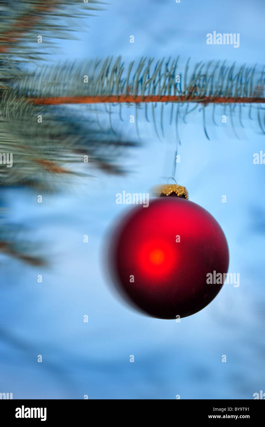 glass christmas ornament hanging from pine tree branch Stock Photo - Alamy