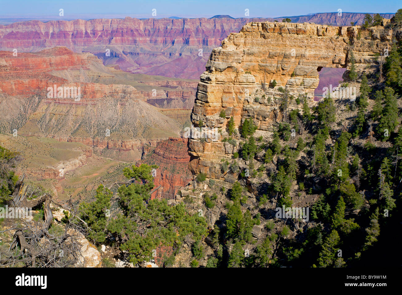 Angel's Window at the North Rim of the Grand Canyon Stock Photo - Alamy