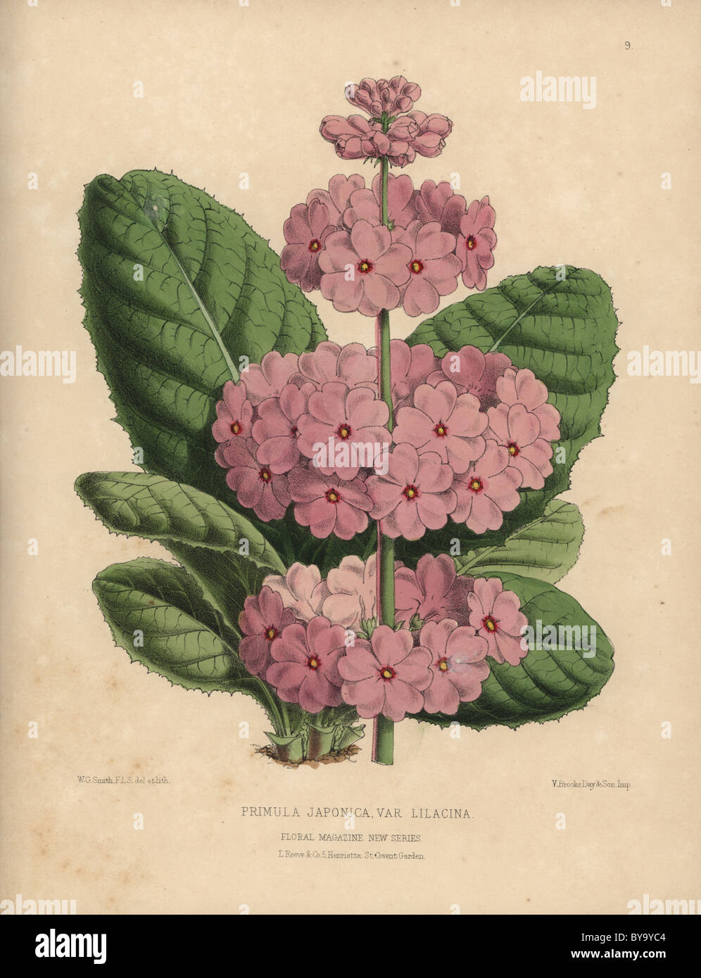 G Worthington Smith Stock Photos & G Worthington Smith Stock Images - Alamy