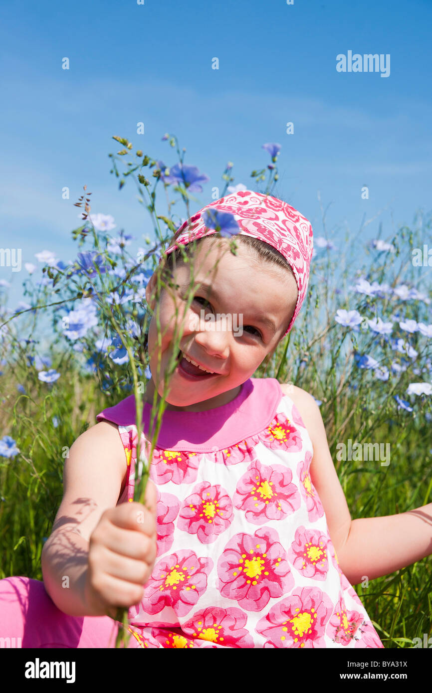 Bouquet of meadow flowers Stock Photo - Alamy