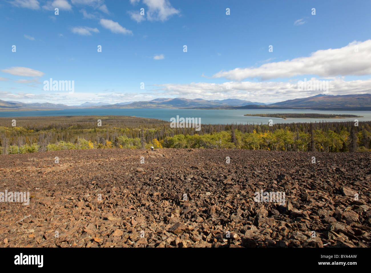 View, panorama over Dezadeash Lake from Rock Glacier, Indian summer, leaves in fall colours, autumn Stock Photo