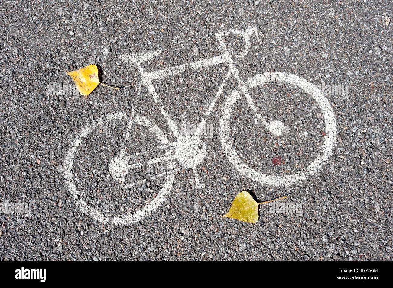 Bicycle pictogram on a bicycle track Stock Photo