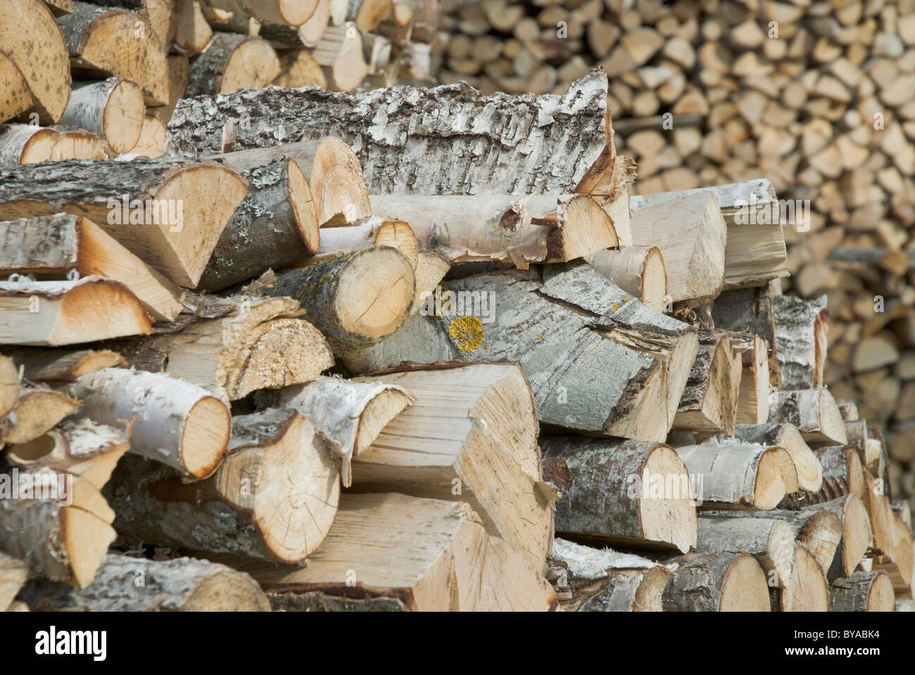 A stack of logs, Sweden Stock Photo - Alamy