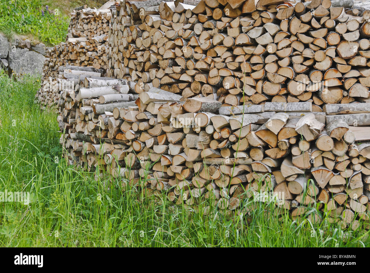 Deforestation log stack hi-res stock photography and images - Alamy