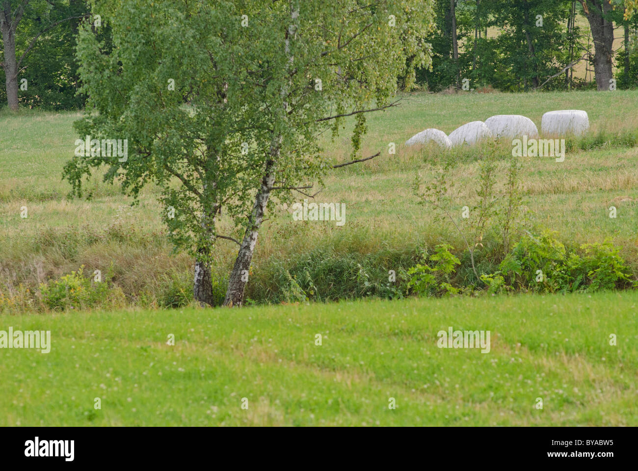 Rural natural landscape hi-res stock photography and images - Alamy
