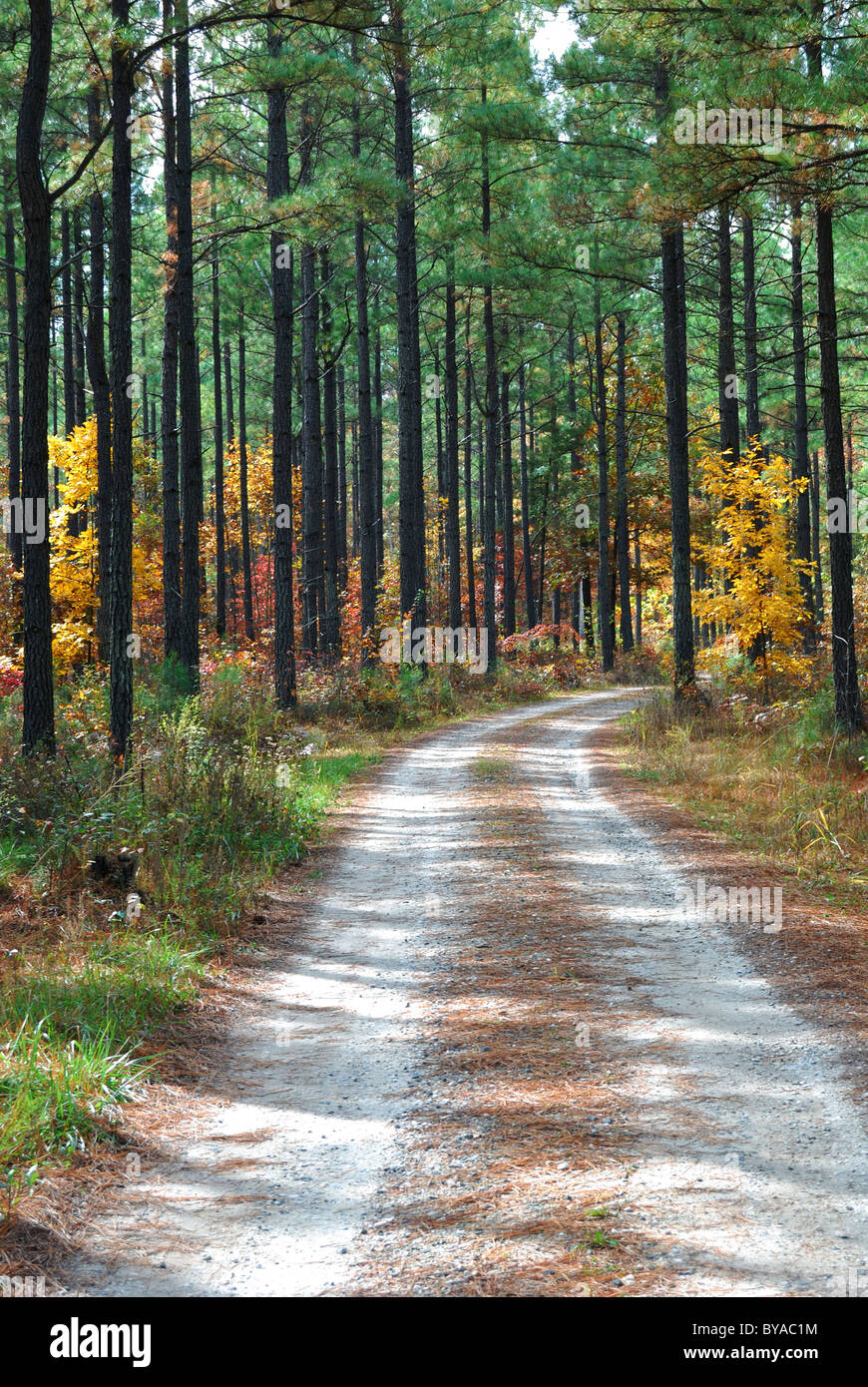 James River State Park, Appomattox County, Virginia Stock Photo Alamy
