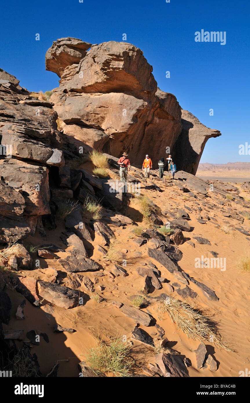 Group Of Tourists People Hiking On Tasset Plateau Tassili N Ajjer group-of-tourists-people-hiking-on-tasset-plateau-tassili-n-ajjer