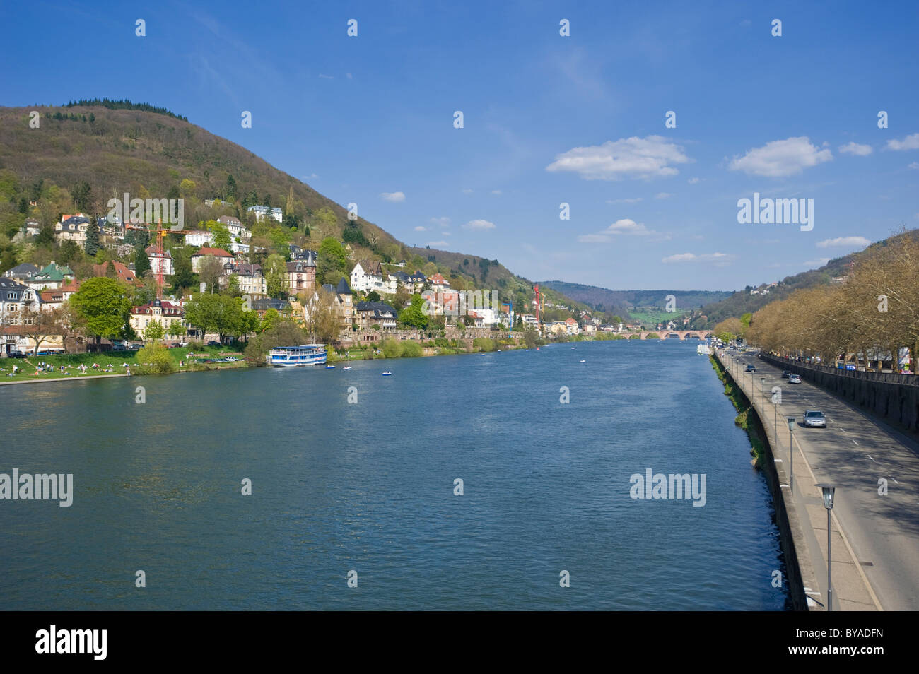 Neckar River with the Neuenheim district, Heidelberg, Palatinate, Baden-Wuerttemberg, Germany, Europe Stock Photo